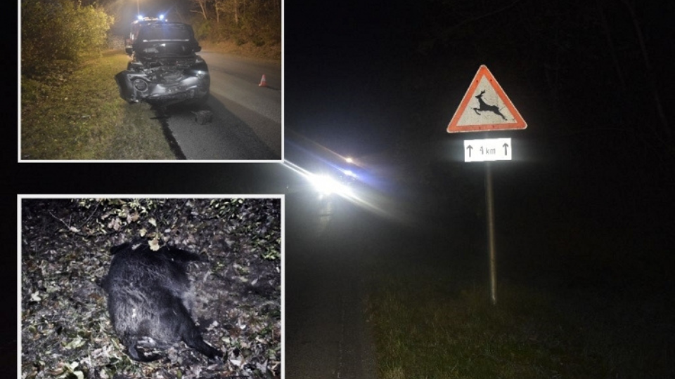 Vadgázolás Győr-Moson-Sopron Vármegyében - minden amit tudni érdemes